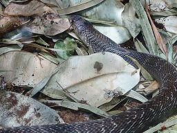 Tiergarten Schönbrunn am 23.03.2023